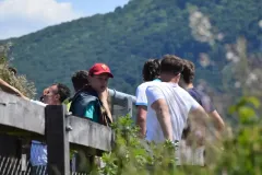 DSC_0334